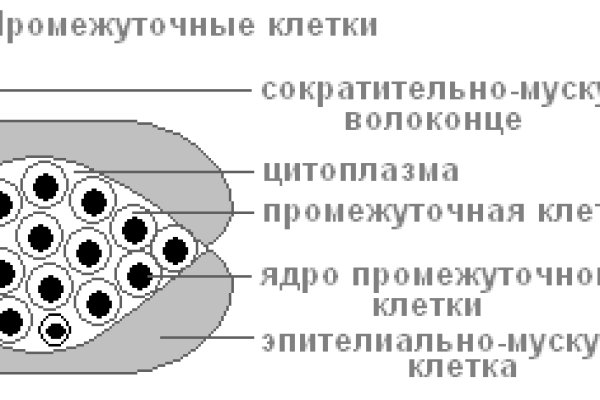 Кракен войти