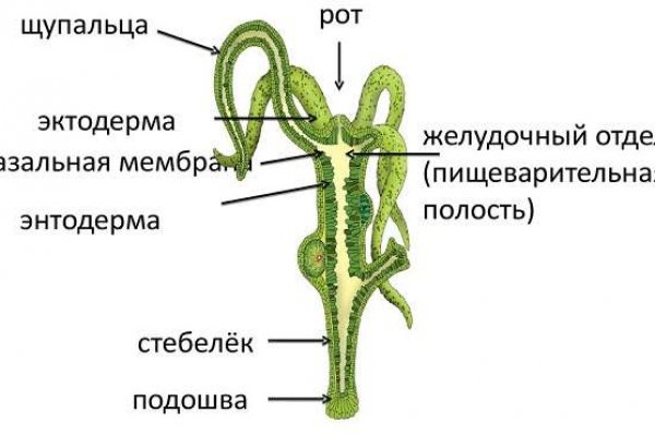 Как попасть на сайт мега