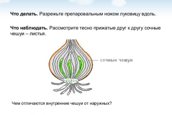 Мега онион все о параллельном