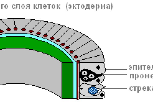 Tor ссылки kraken kraken6.at kraken7.at kraken8.at